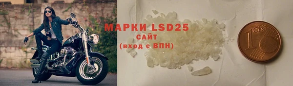 спиды Зеленокумск