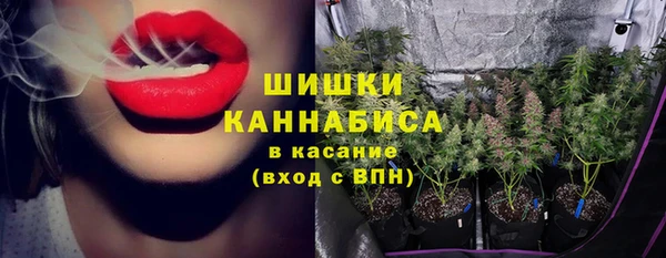 спиды Зеленокумск